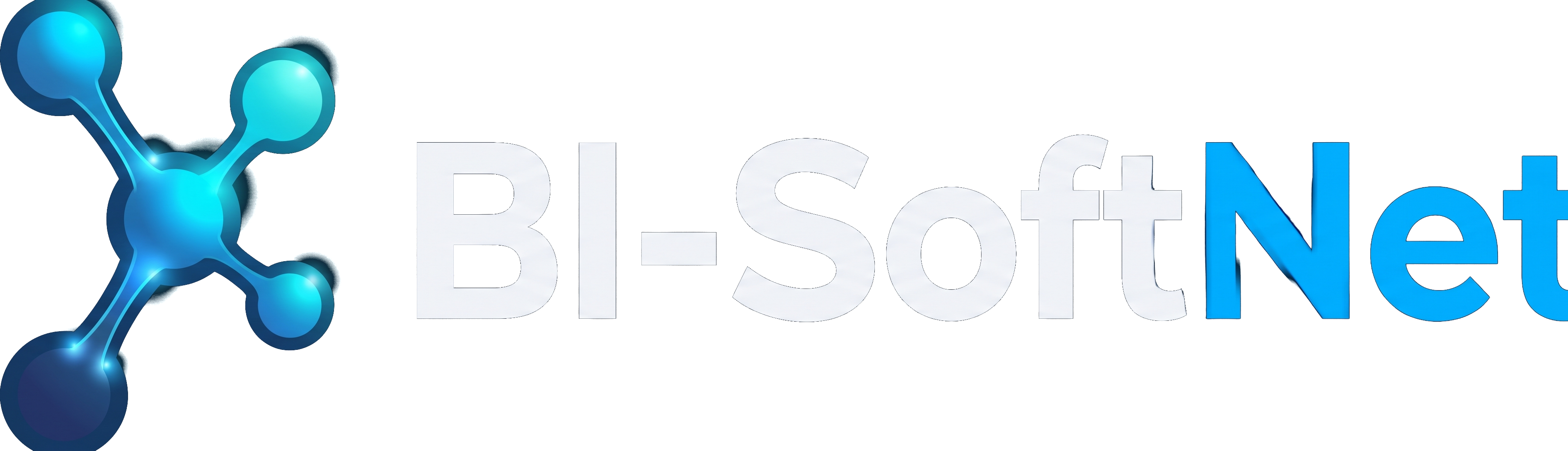 Bi-SoftNet